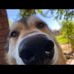 Meet your Posher, Joel